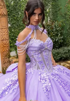 Necklace Only. Dress Not Included.