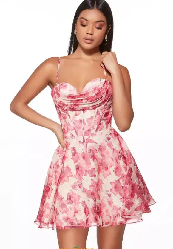 Organza Short A Line Dress 30033