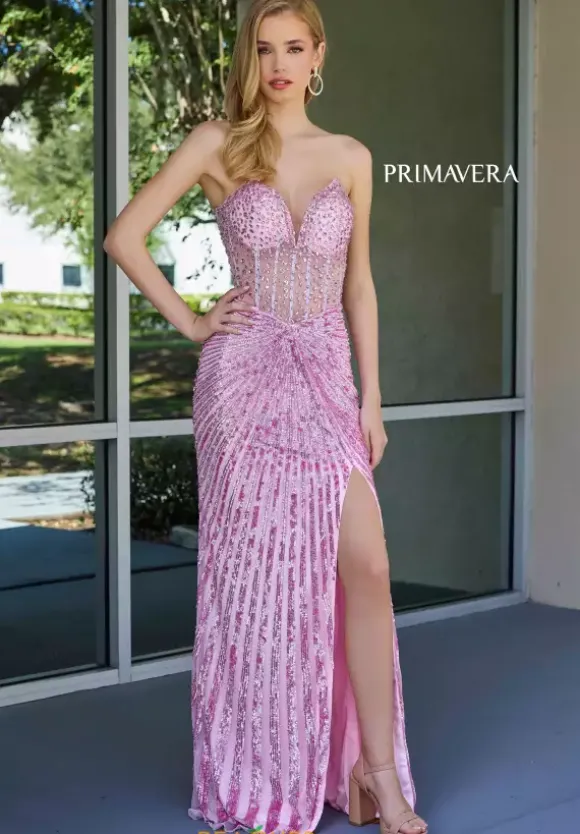 Primavera 4304