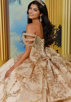 Princesa Quinceanera PR30228