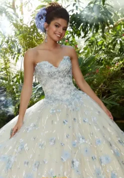 Vizcaya Quinceanera 34011