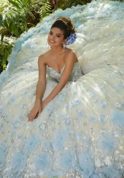 Vizcaya Quinceanera 34011