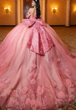 Vizcaya Quinceanera 4080032