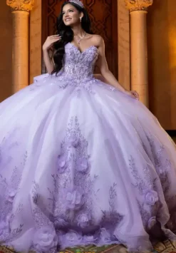 Vizcaya Quinceanera 4080032