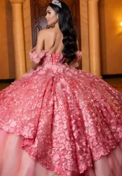 Vizcaya Quinceanera 4080032