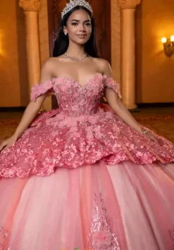 Vizcaya Quinceanera 4080032