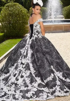 Vizcaya Quinceanera 34042