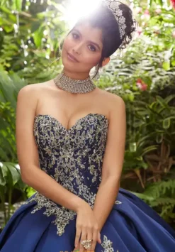 Vizcaya Quinceanera 89241