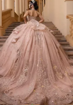 Vizcaya Quinceanera 4080002