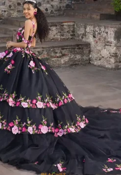Vizcaya Quinceanera 89545