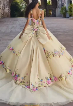 Vizcaya Quinceanera 89545