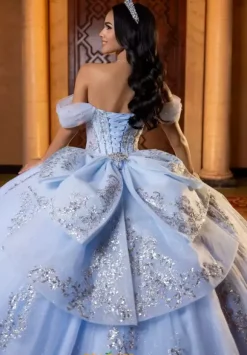 Vizcaya Quinceanera 4080013