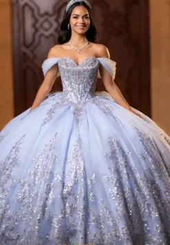 Vizcaya Quinceanera 4080013