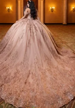 Vizcaya Quinceanera 4080013
