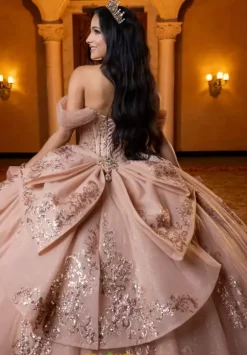 Vizcaya Quinceanera 4080013