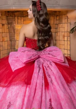Vizcaya Quinceanera 4080005