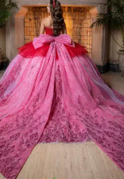 Vizcaya Quinceanera 4080005