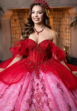 Vizcaya Quinceanera 4080005