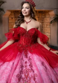 Vizcaya Quinceanera 4080005