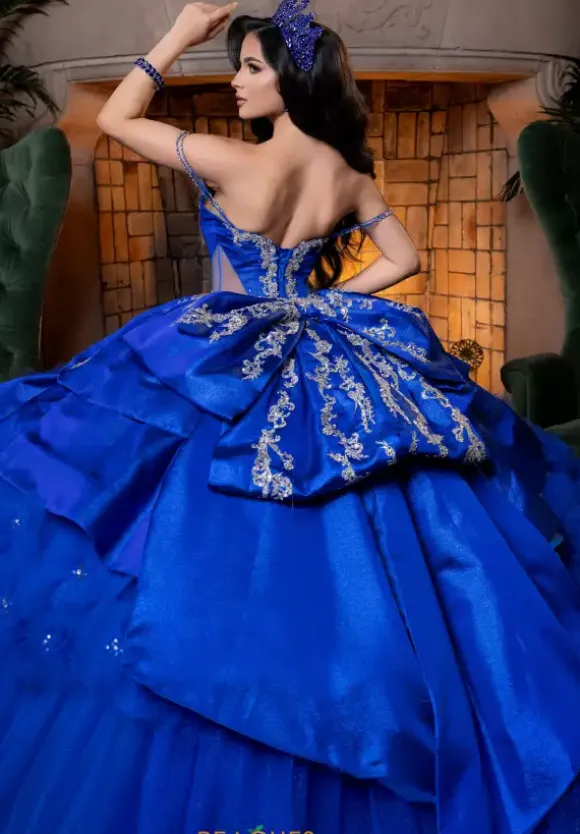 Vizcaya Quinceanera 4080007