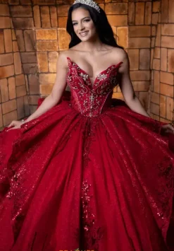 Vizcaya Quinceanera 4080025