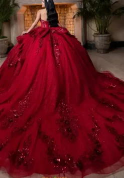 Vizcaya Quinceanera 4080025