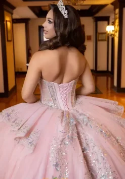 Vizcaya Quinceanera 4080025