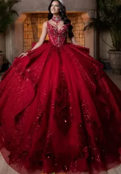 Vizcaya Quinceanera 4080025