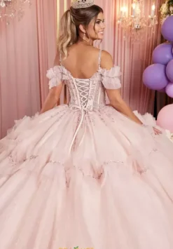 Vizcaya Quinceanera 89508