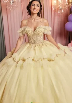 Vizcaya Quinceanera 89508