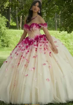 Vizcaya Quinceanera 60191
