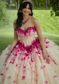 Vizcaya Quinceanera 60191