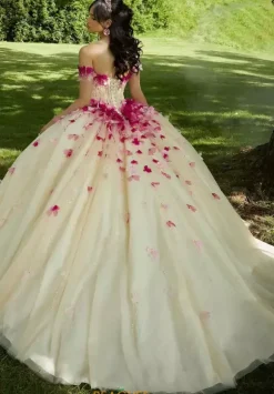 Vizcaya Quinceanera 60191