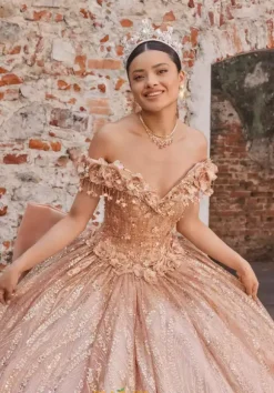 Vizcaya Quinceanera 89547