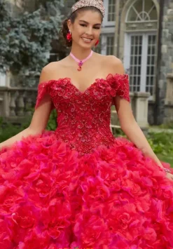Vizcaya Quinceanera 34081