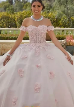 Vizcaya Quinceanera 60185