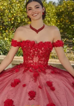 Vizcaya Quinceanera 60185