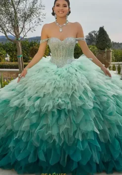Vizcaya Quinceanera 89438