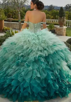 Vizcaya Quinceanera 89438