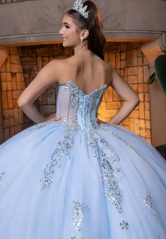 Vizcaya Quinceanera 4080004