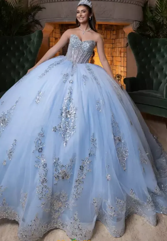 Vizcaya Quinceanera 4080004