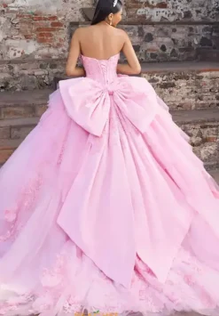 Vizcaya Quinceanera 89558