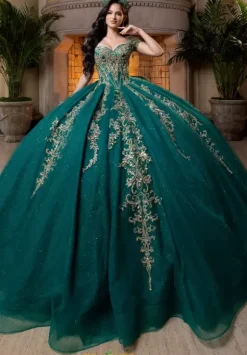 Vizcaya Quinceanera 4080026