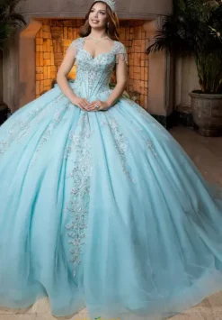 Vizcaya Quinceanera 4080026