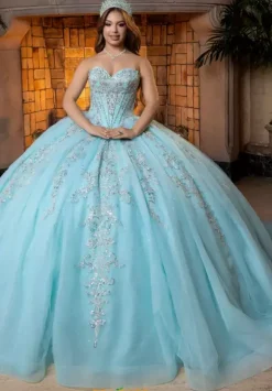 Vizcaya Quinceanera 4080026