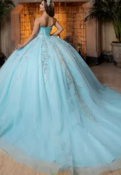 Vizcaya Quinceanera 4080026