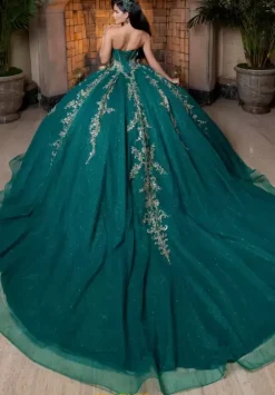 Vizcaya Quinceanera 4080026