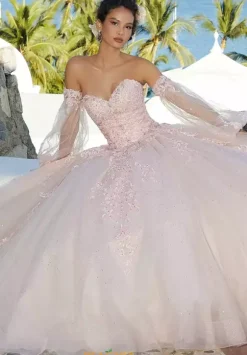 Vizcaya Quinceanera 89359