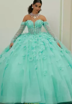 Vizcaya Quinceanera 60203