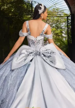 Vizcaya Quinceanera 89552